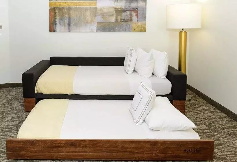 スタンダードスタジオ, Springhill Suites Houston Nasa/seabrook
