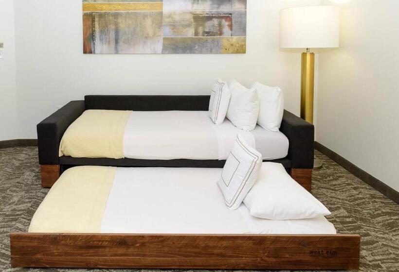 带大床的标准工作室, Springhill Suites Houston Nasa/seabrook