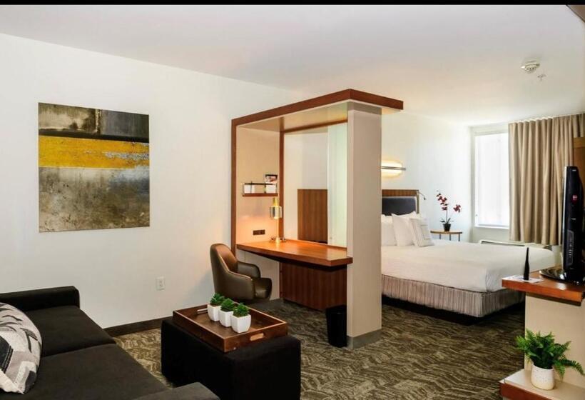 带大床的标准工作室, Springhill Suites Houston Nasa/seabrook