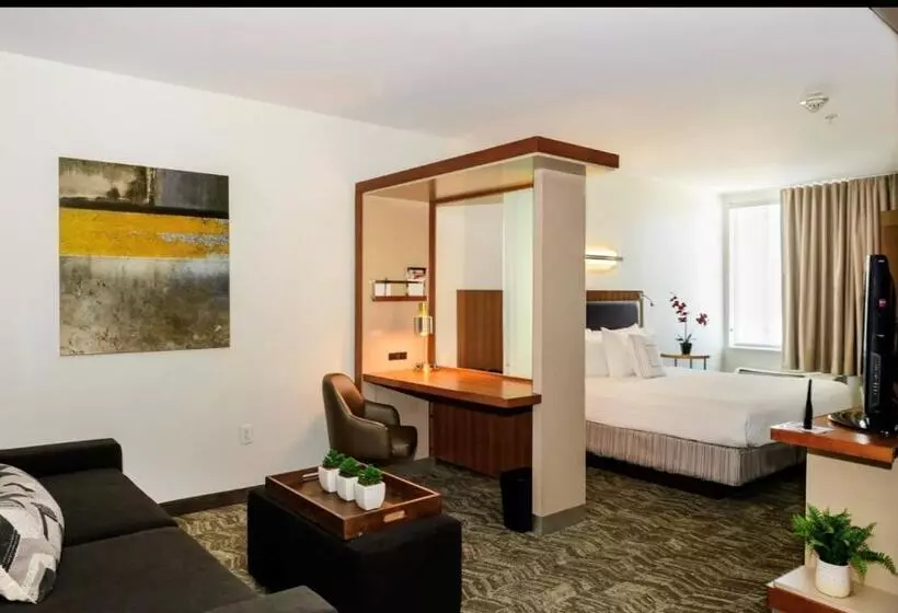キングサイドベッドのスタンダードワンルーム, Springhill Suites Houston Nasa/seabrook
