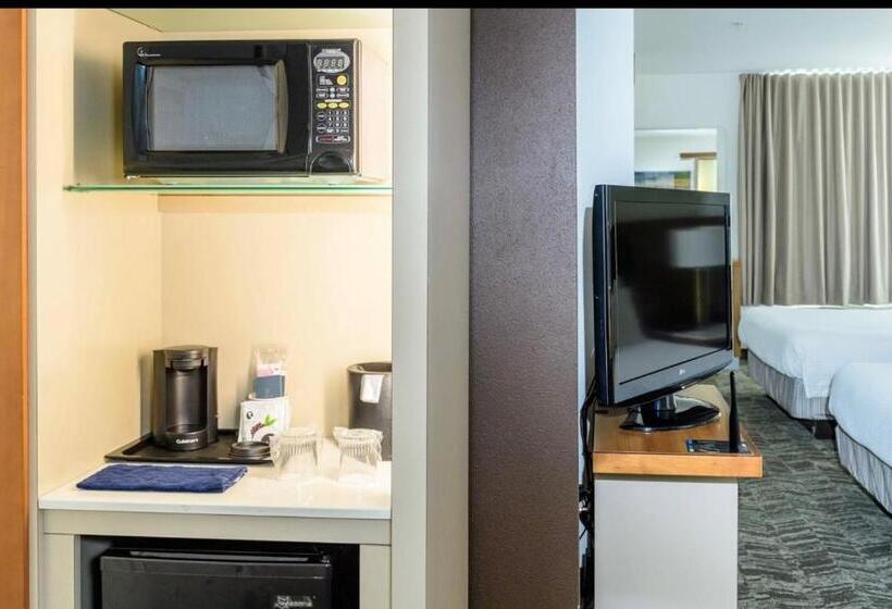 带大床的标准工作室, Springhill Suites Houston Nasa/seabrook