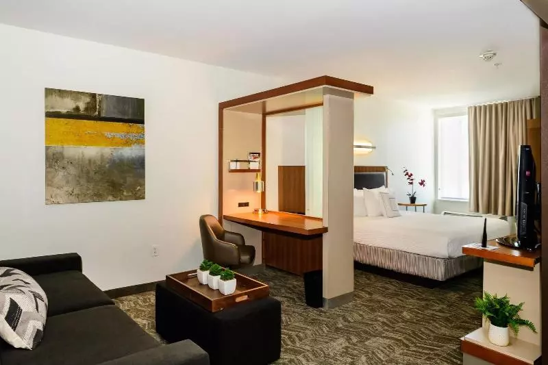 キングサイドベッドのスタンダードワンルーム, Springhill Suites Houston Nasa/seabrook