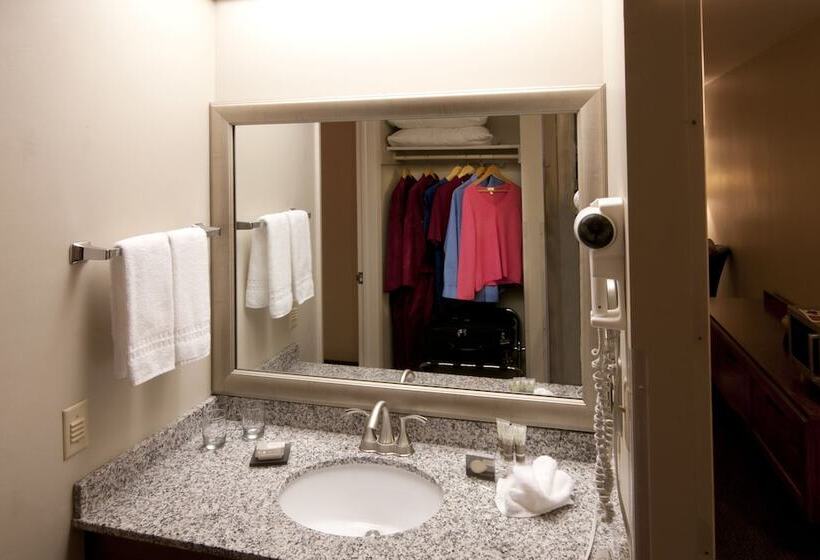 غرفه قياسيه سريرين مزدوجين, Country House Resort