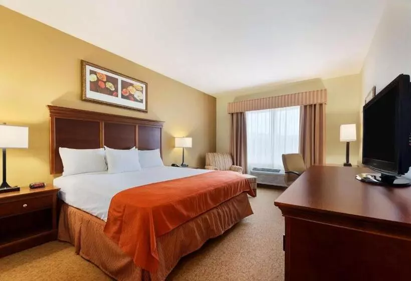 キングサイズベッドのスタンダードルーム, Country Inn & Suites By Radisson, Texarkana, Tx