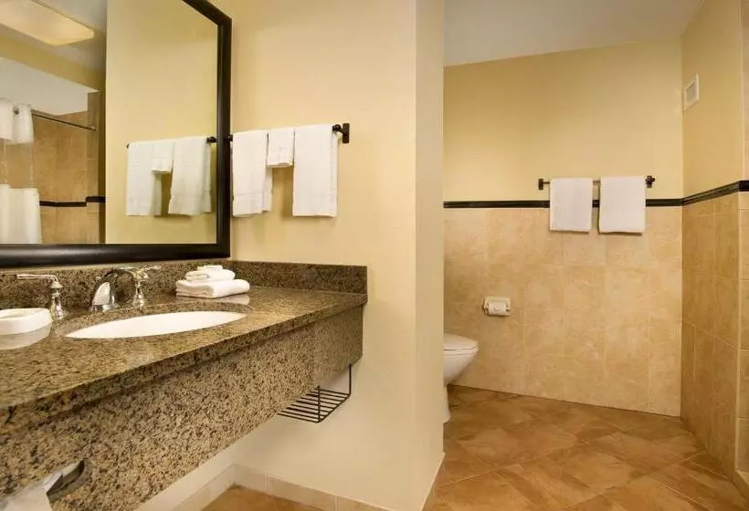 キングサイズベッドのデラックスルーム, Drury Plaza Hotel San Antonio North Stone Oak