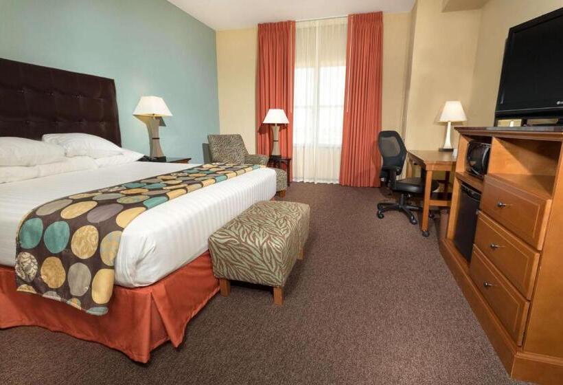 带大床的标准间, Drury Plaza Hotel San Antonio North Stone Oak