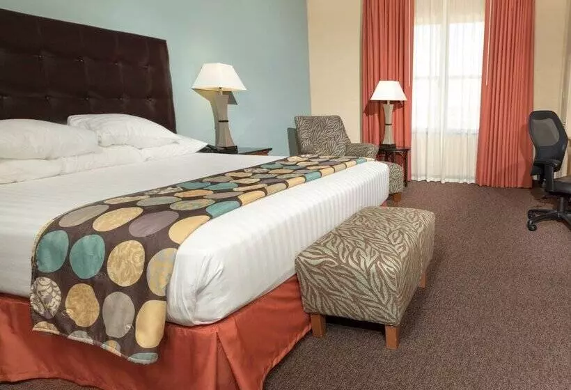 デラックスルーム, Drury Plaza Hotel San Antonio North Stone Oak