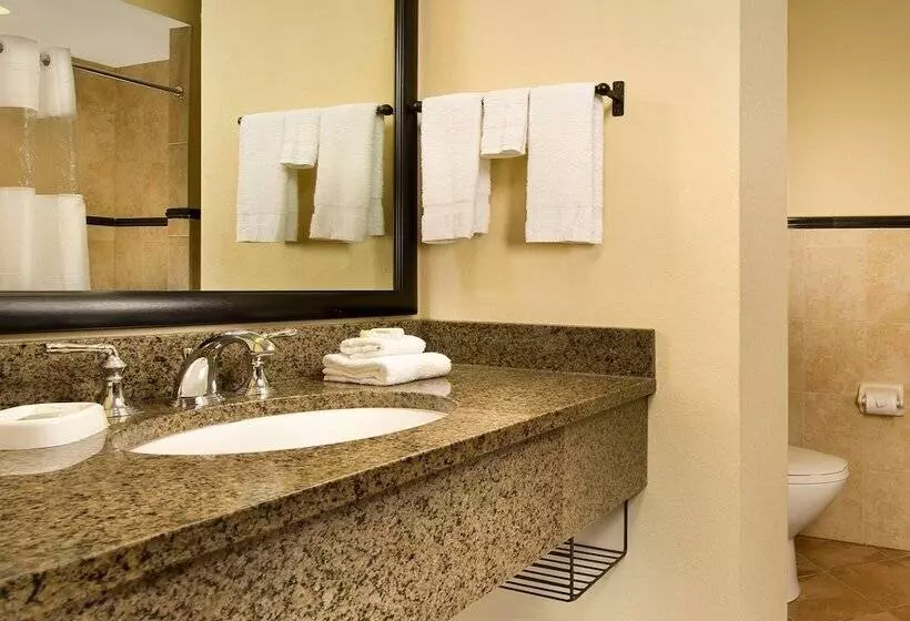 スイート, Drury Plaza Hotel San Antonio North Stone Oak