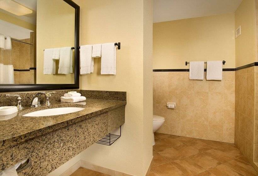 适用于残疾人士的豪华房间, Drury Plaza Hotel San Antonio North Stone Oak