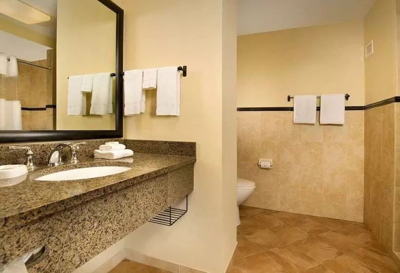 障害者適応デラックスルーム, Drury Plaza Hotel San Antonio North Stone Oak