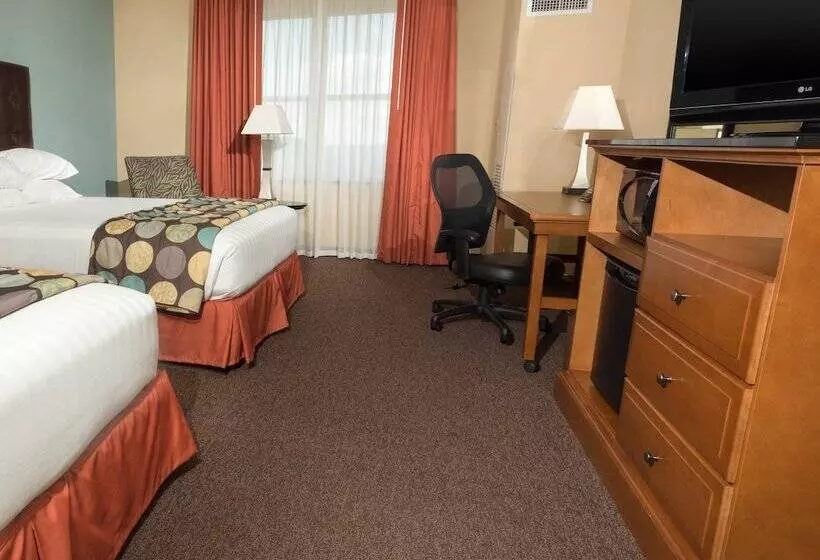 障害者適応デラックスルーム, Drury Plaza Hotel San Antonio North Stone Oak