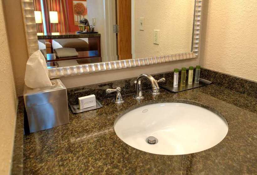 Студио Стандарт Кровать Кинг, Home2 Suites By Hilton San Antonio Downtown Riverwalk, Tx