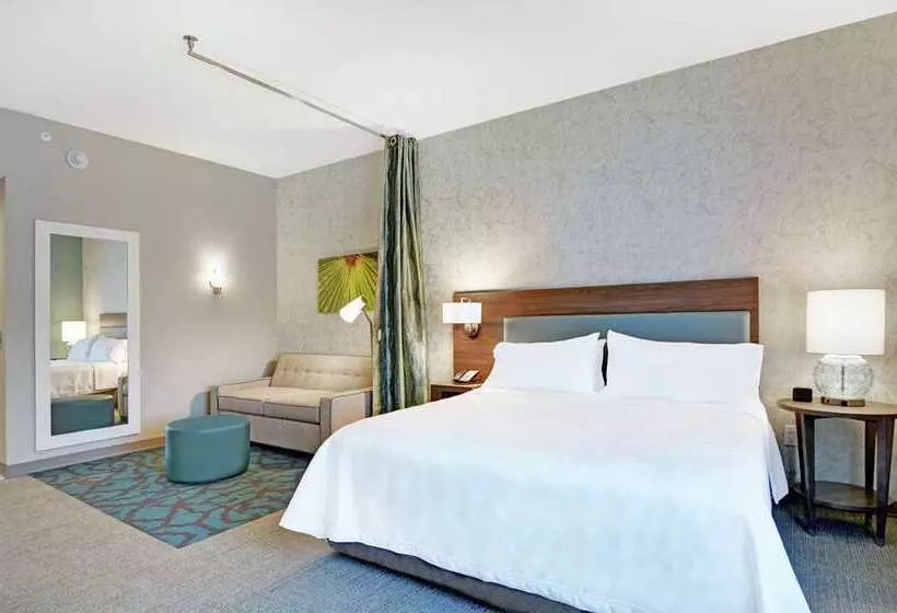 スタンダードスタジオ, Home2 Suites By Hilton San Antonio Downtown  Riverwalk, Tx