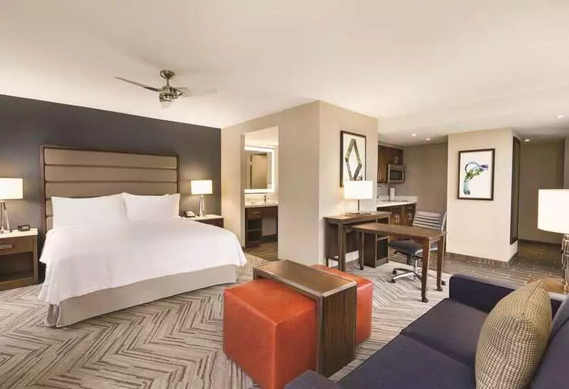 スタンダードスタジオ, Home2 Suites By Hilton San Antonio Downtown  Riverwalk, Tx