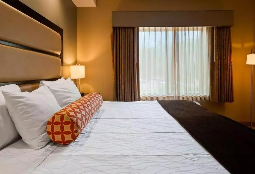 キングサイズベッドのスタンダードルーム, Best Western Plus College Park