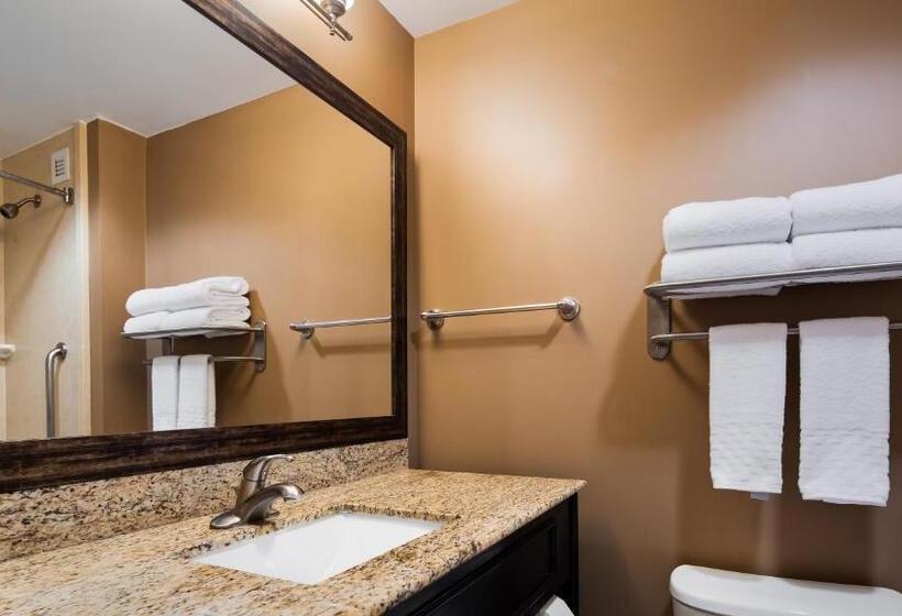 带大床的标准间, Best Western Plus College Park