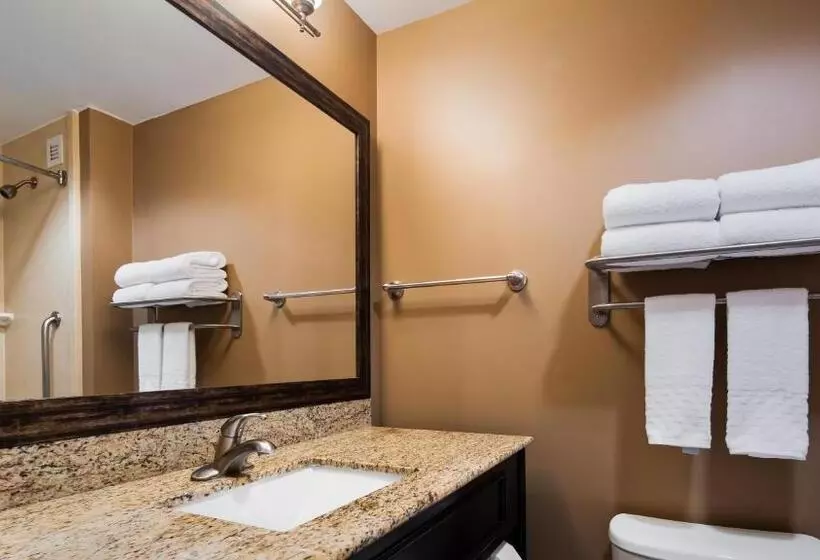 キングサイズベッドのスタンダードルーム, Best Western Plus College Park