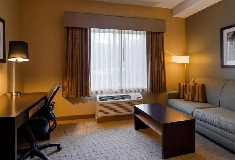 キングサイズベッドのスタンダードルーム, Best Western Plus College Park