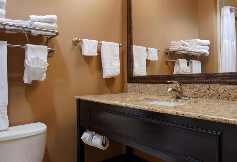 标准间, Best Western Plus College Park