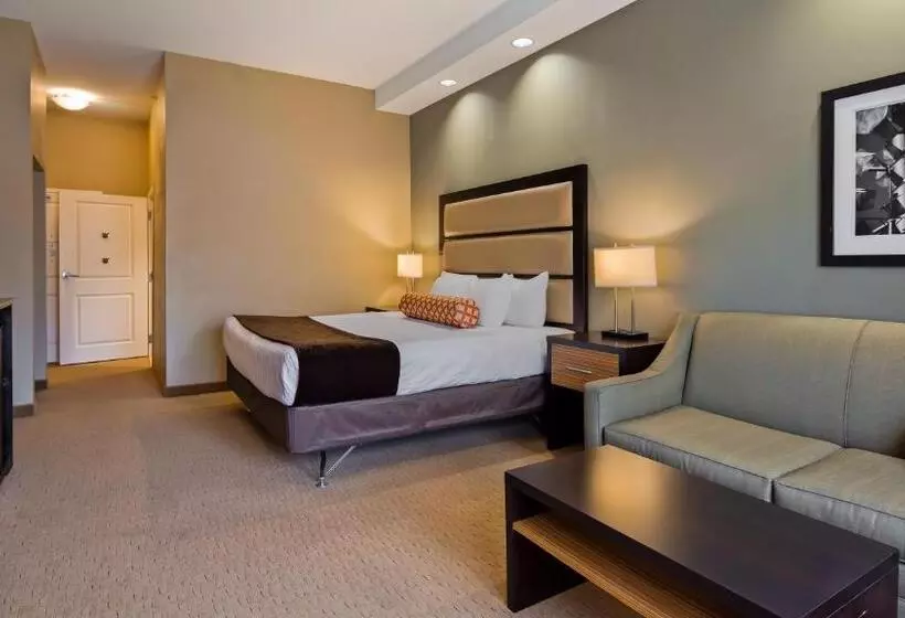 身障者適用キングサイズベッドルーム, Best Western Plus College Park