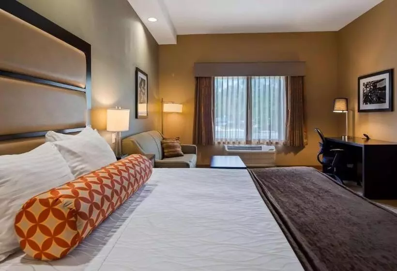身障者適用キングサイズベッドルーム, Best Western Plus College Park