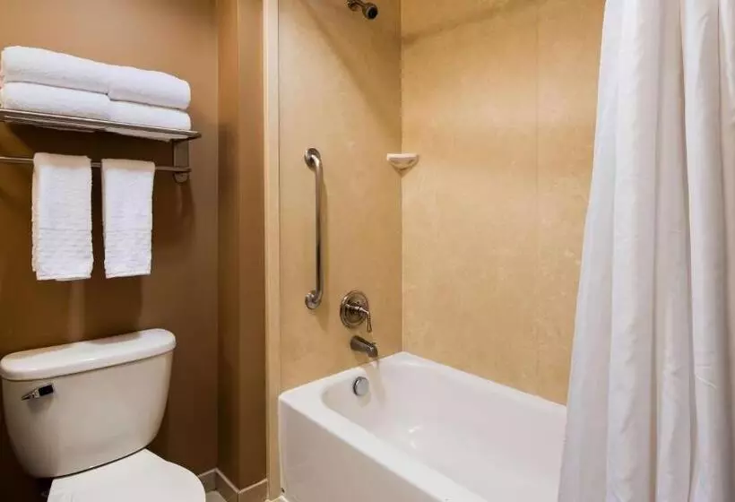 キングサイズベッドのデラックスルーム, Best Western Plus College Park