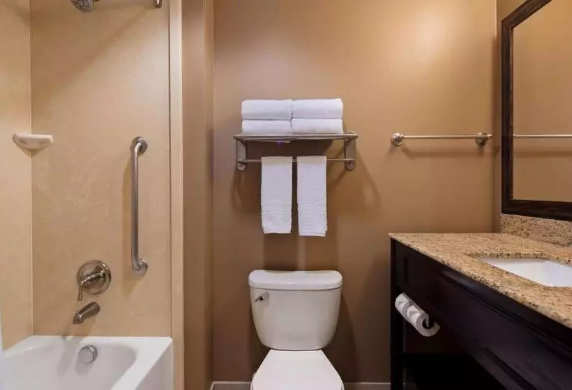 キングサイズベッドのデラックスルーム, Best Western Plus College Park