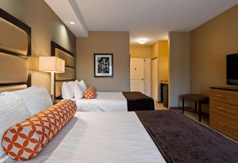 带城市景观的标准间, Best Western Plus College Park