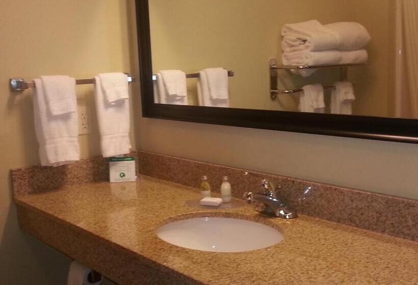 带大床的套房, Cobblestone Inn & Suites Bloomfield