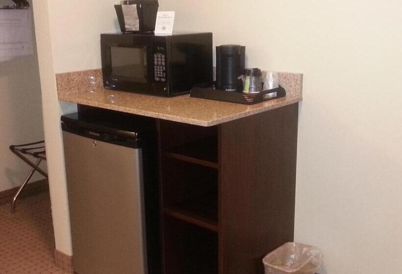 带大床的套房, Cobblestone Inn & Suites Bloomfield