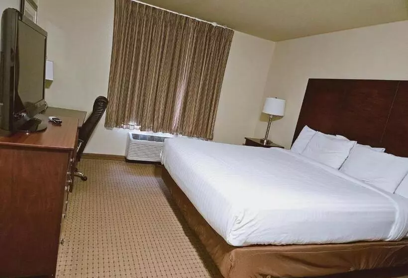 身障者適用キングサイズベッドルーム, Cobblestone Inn & Suites  Bloomfield