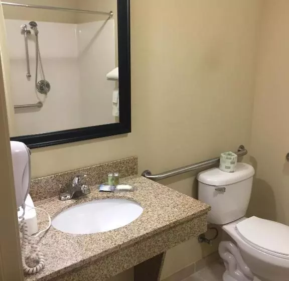 身障者適用キングサイズベッドルーム, Cobblestone Inn & Suites  Bloomfield