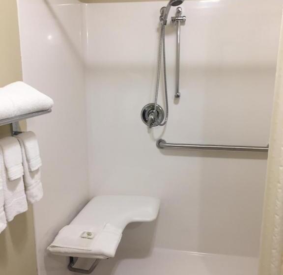 장애인을 위한 킹사이즈 침대 스탠다드 룸, Cobblestone Inn & Suites  Bloomfield