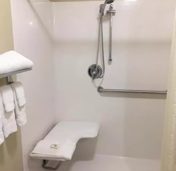 身障者適用キングサイズベッドルーム, Cobblestone Inn & Suites  Bloomfield