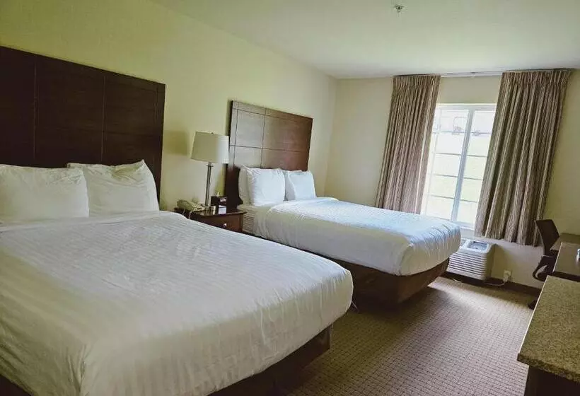 身障者適用スタンダードルーム, Cobblestone Inn & Suites  Bloomfield