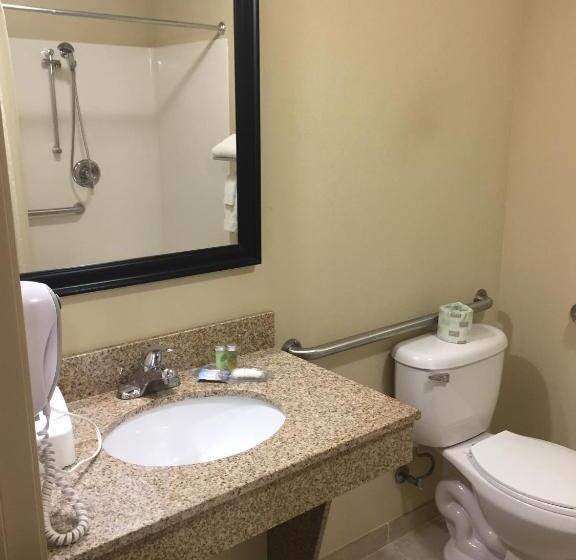 带大床的套房, Cobblestone Inn & Suites Bloomfield