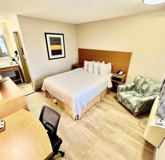 スタンダードルーム, Days Inn & Suites By Wyndham Arlington Near Six Flags