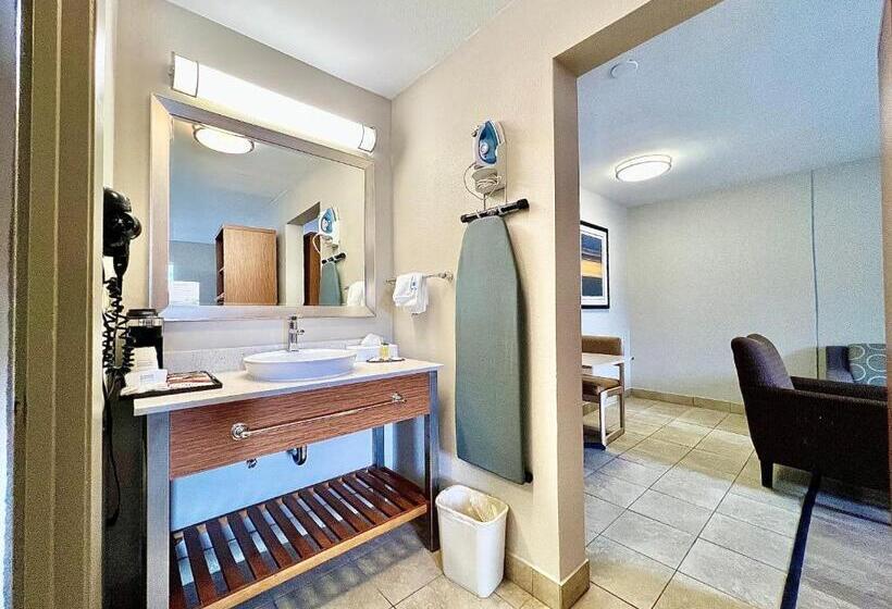 スイート, Days Inn & Suites By Wyndham Arlington Near Six Flags