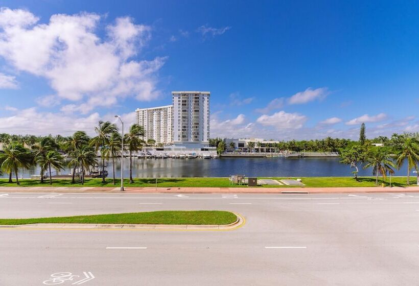 Номер Стандарт, Notebook Miami Beach