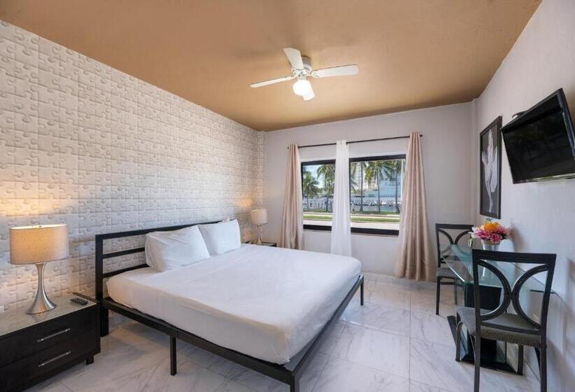 带大床的标准间, Notebook Miami Beach