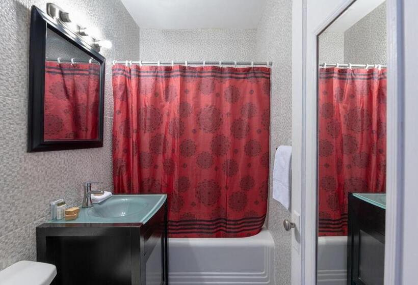 Номер Стандарт, Notebook Miami Beach