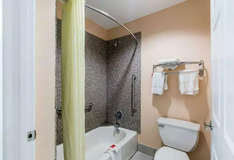 ２ダブルベッドのスタンダードルーム, Quality Inn & Suites Bridge City Orange