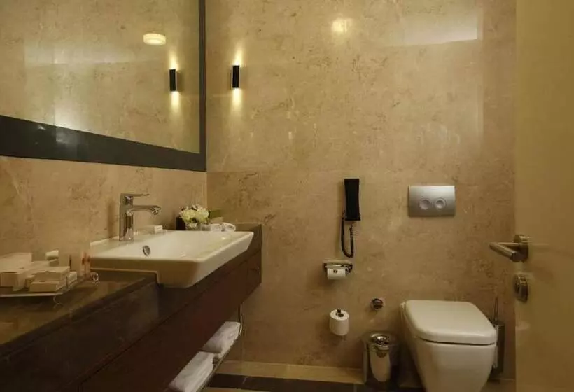 障害者適応デラックスルーム, Ramada Plaza By Wyndham Istanbul Tekstilkent