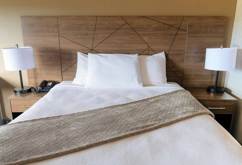 带双人床的经典房间, Red Sands