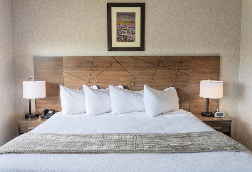 可观山景的小型套房, Red Sands