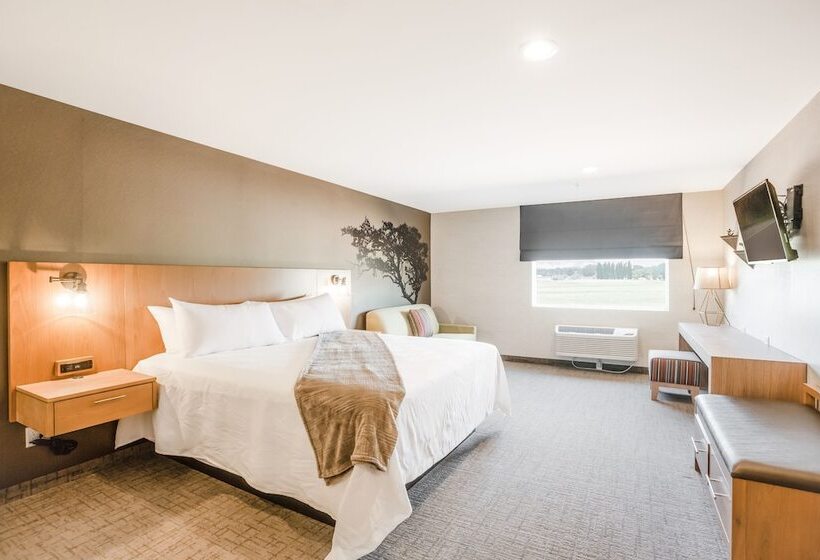 标准间带双人床, Red Sands