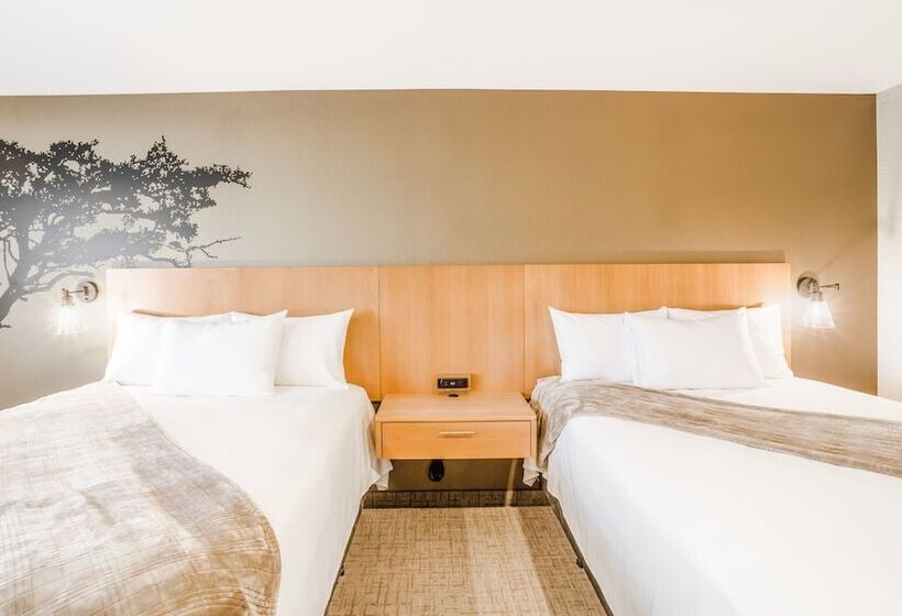 带2个双人床的标准工作室, Red Sands