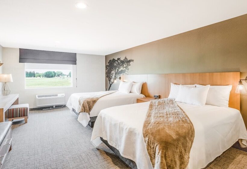 带2个双人床的标准工作室, Red Sands