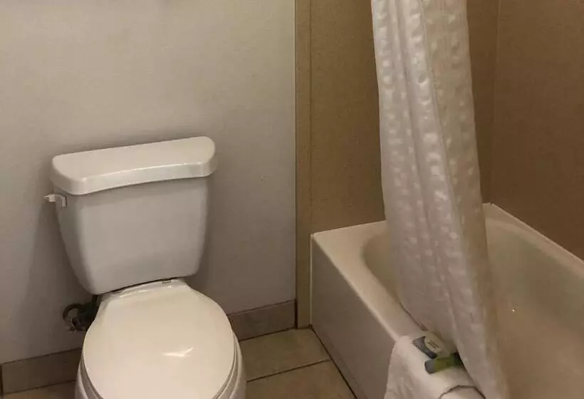 キングサイズベッドのスタンダードルーム, Executive Inn & Suites Joaquin