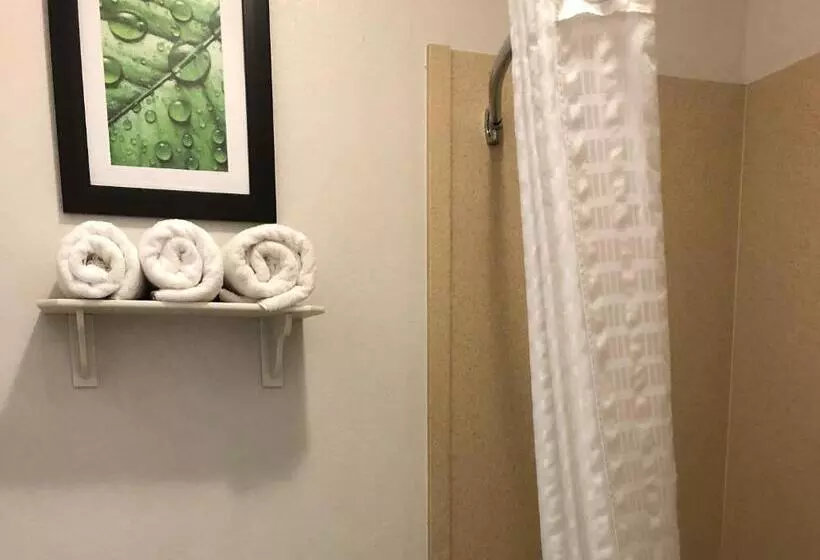 キングサイズベッドのスイートルーム, Executive Inn & Suites Joaquin